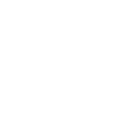 Tactibear preview.